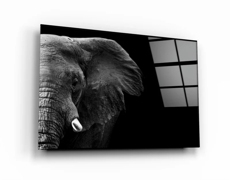 ・"Elephant"・Glass Wall Art